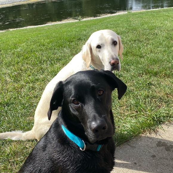 Meet your Posher, Mary - Picture 3 of 3